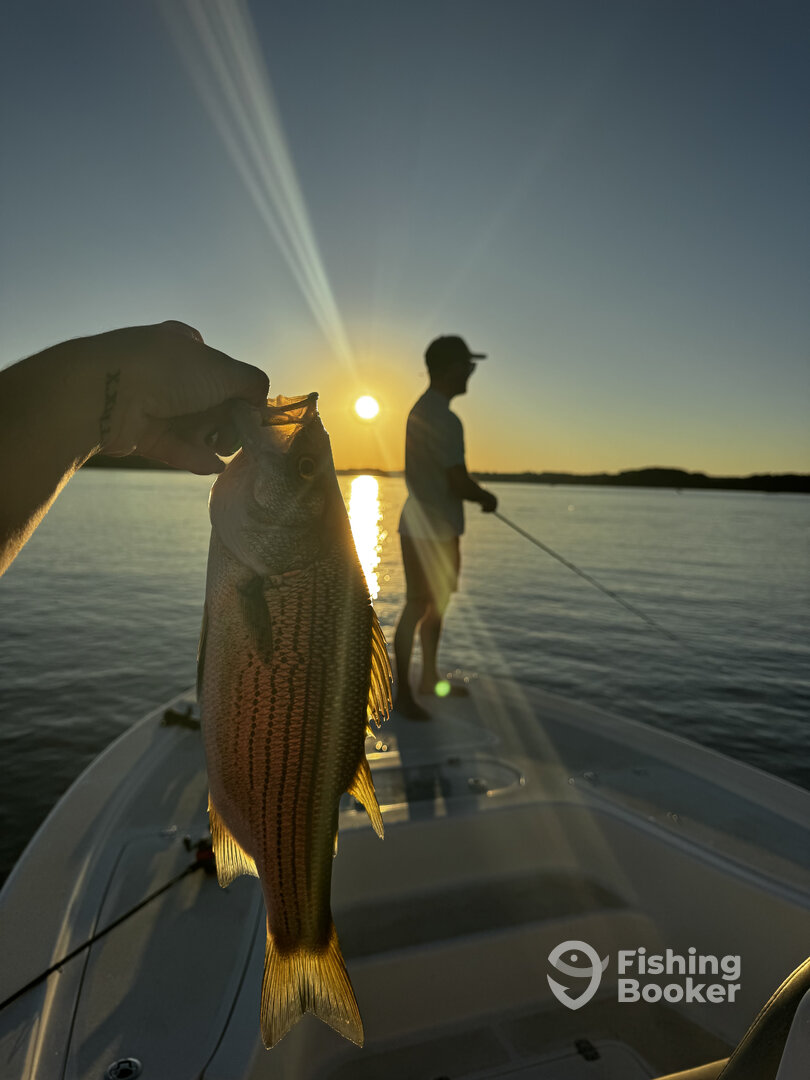 Lake Hartwell Report Photo 0