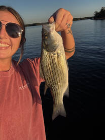 Lake Hartwell Report Photo 1
