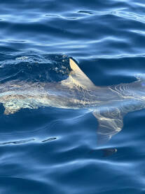 September 22nd, 2025 