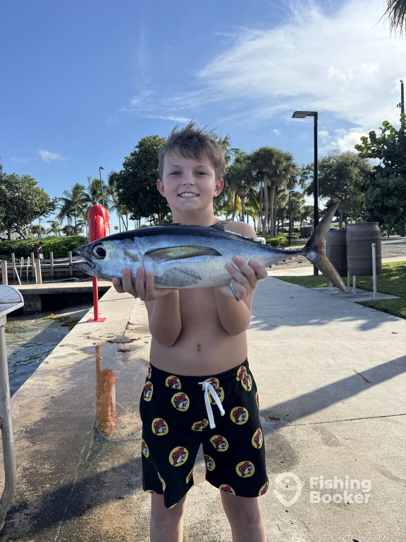 Jupiter Report Photo 0