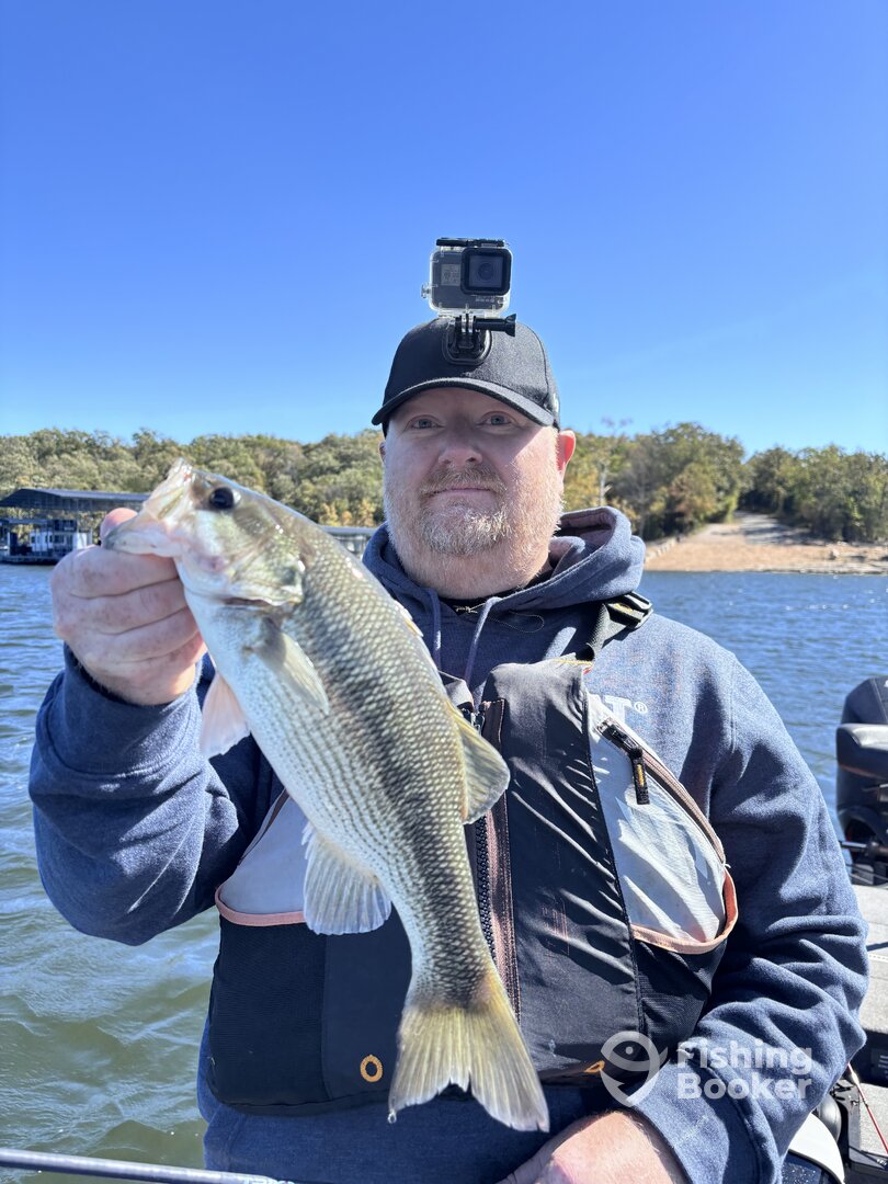 Branson Report Photo 0
