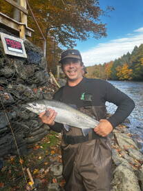 Steelhead are showing up