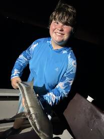 Spring Hill Report Photo 1