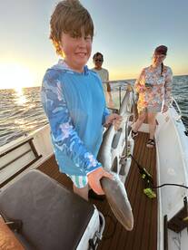 Hernando County Report Photo 4