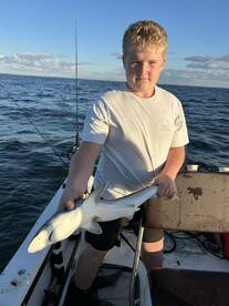 Spring Hill Report Photo 2