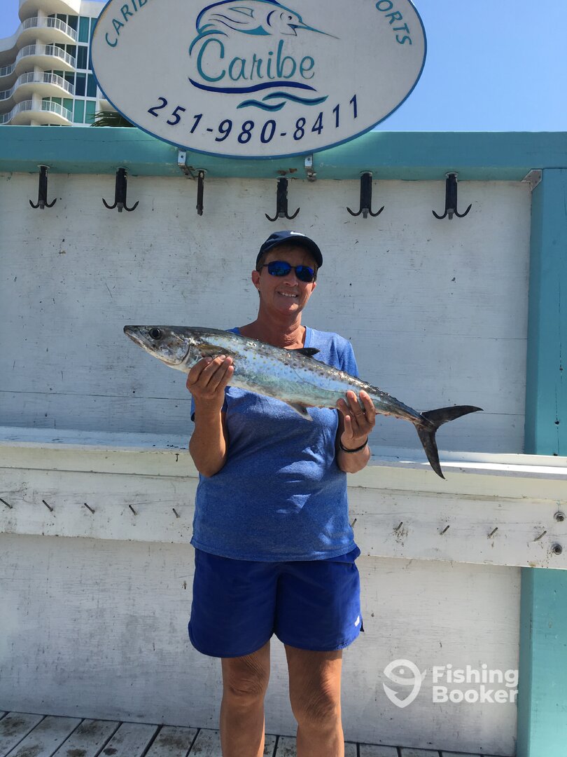Orange Beach Report Photo 0