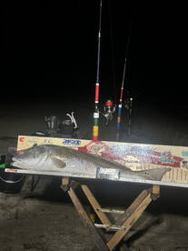 Cameron Parish Report Photo 4