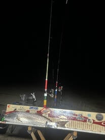 Creole Report Photo 4