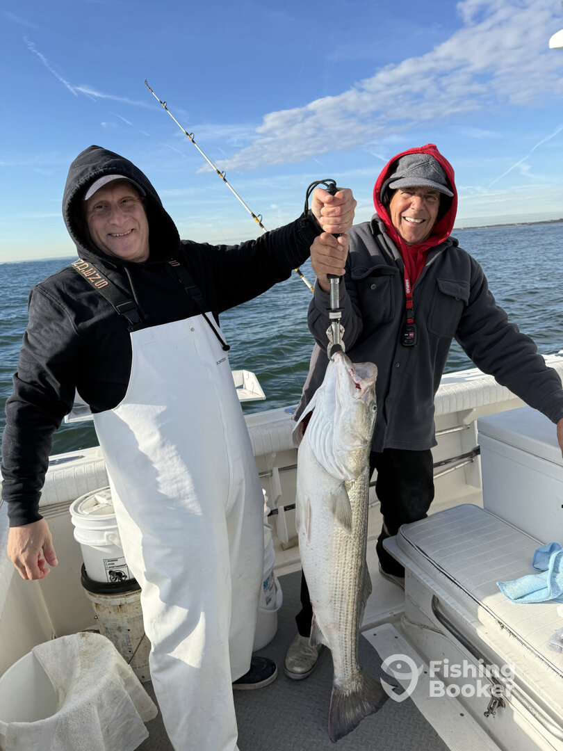 Staten Island Report Photo 0