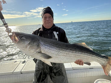 Staten Island Report Photo 2