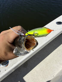 River Road Report Photo 3