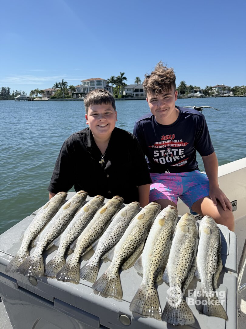 Sarasota Report Photo 0