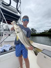 Sarasota Bay Report Photo 1