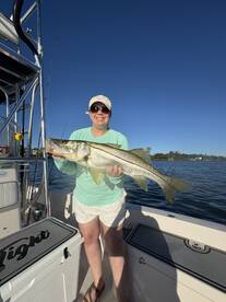 Sarasota Report Photo 1