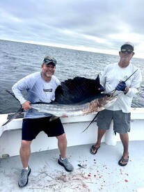 Dania Beach Report Photo 3