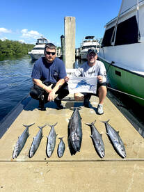 Dania Beach Report Photo 2