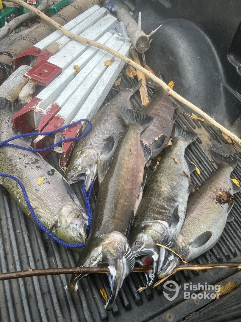 Pulaski Report Photo 0