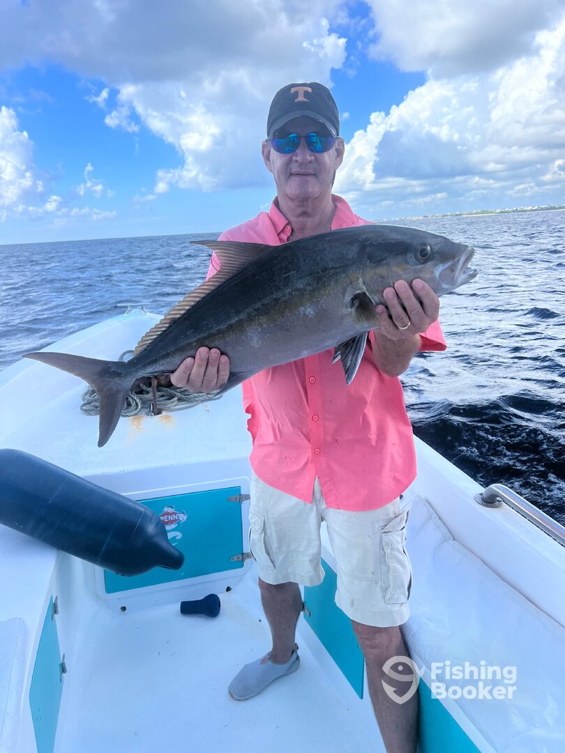 Quintana Roo Report Photo 0