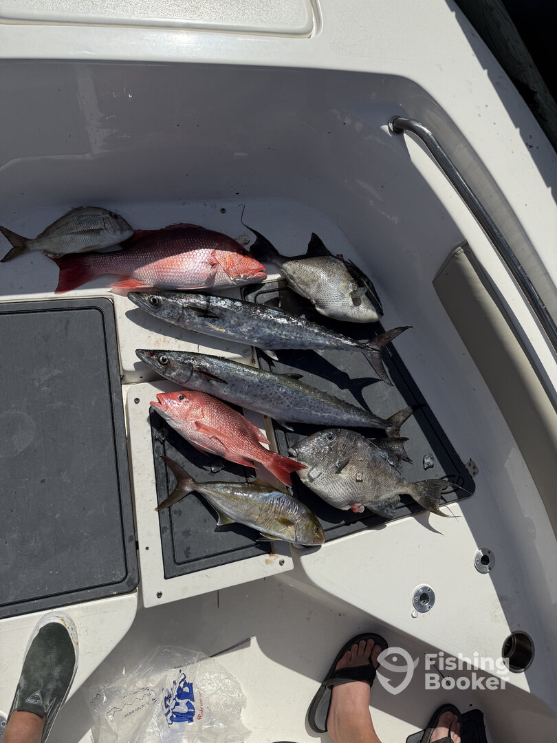 Bay County Report Photo 0