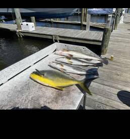 Fort Pierce Report Photo 2