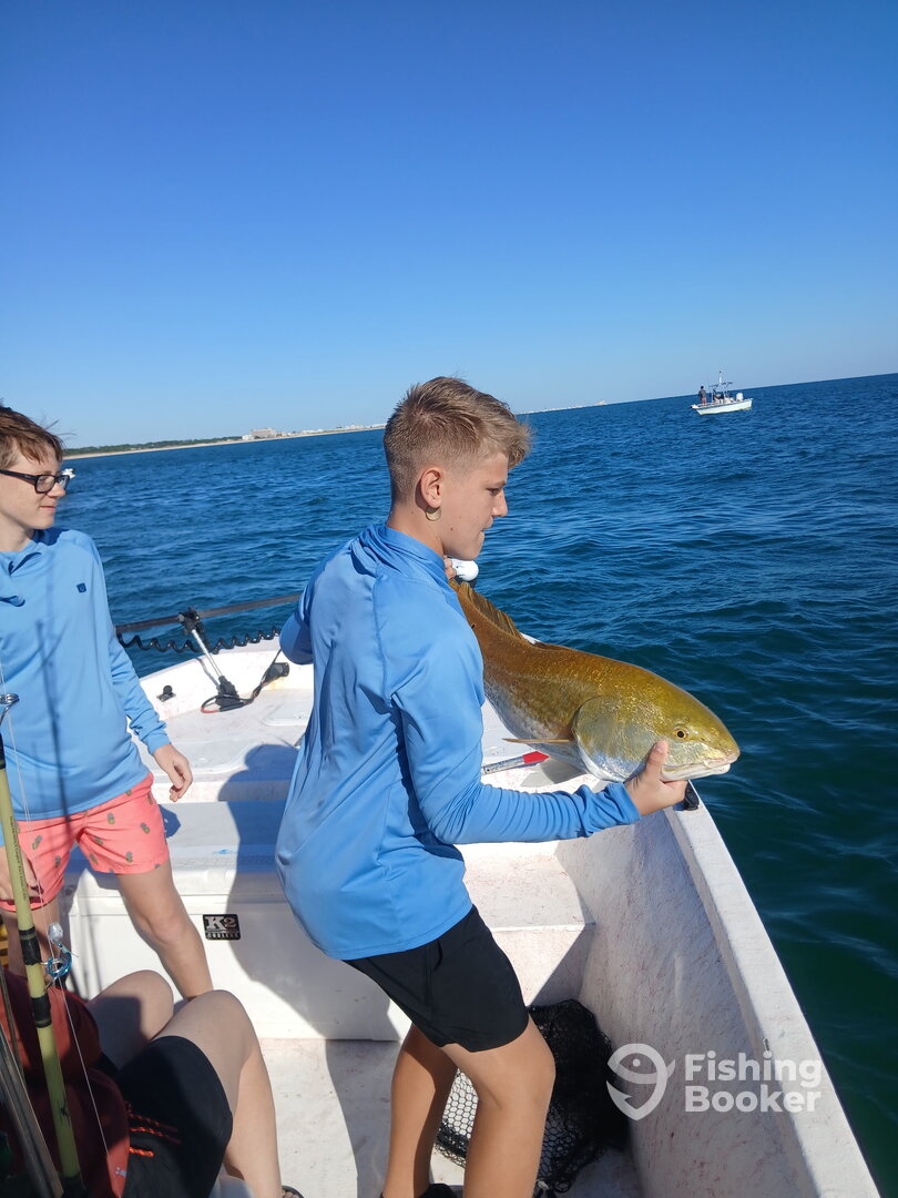 Mobile Bay Report Photo 0