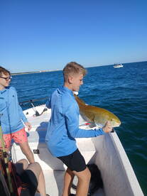 Gulf Shores Report Photo 1