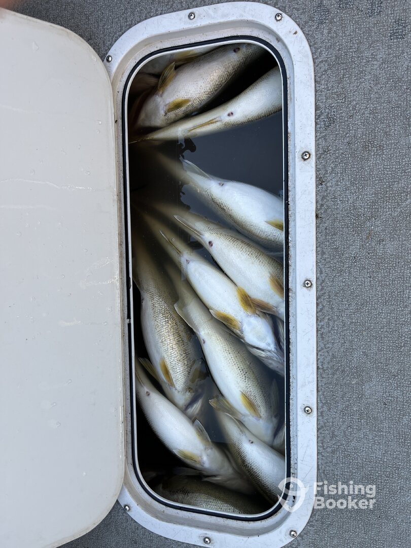 Lakeside Marblehead Report Photo 0