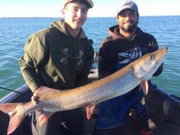 Three Trophy MUSKIE! 