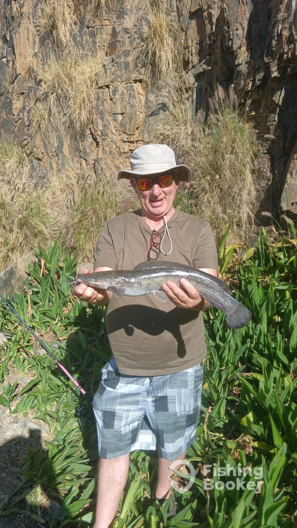 South Africa Report Photo 0