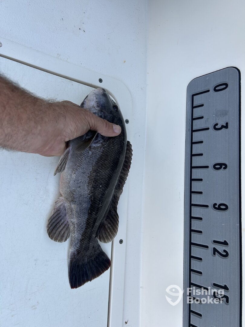 Brick Township Report Photo 0