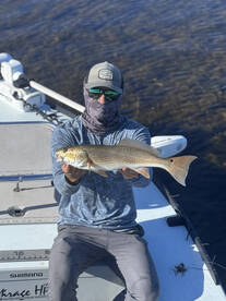 Florida bay redfish snook and tarpon hal