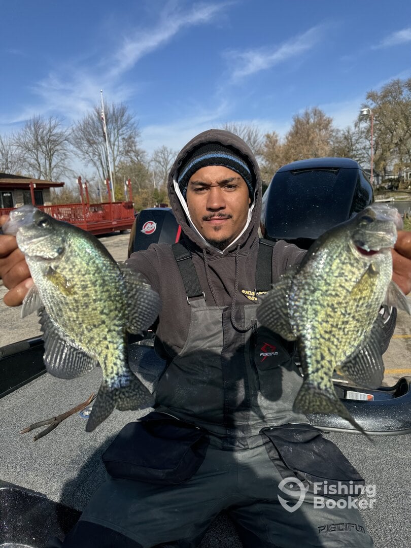 Chicago Metropolitan Area Report Photo 0