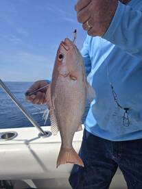 St. Simons Island Report Photo 2