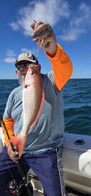 St. Simons Island Report Photo 1