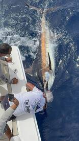 Costa Adeje Report Photo 2