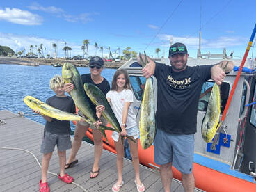Haleiwa Report Photo 2