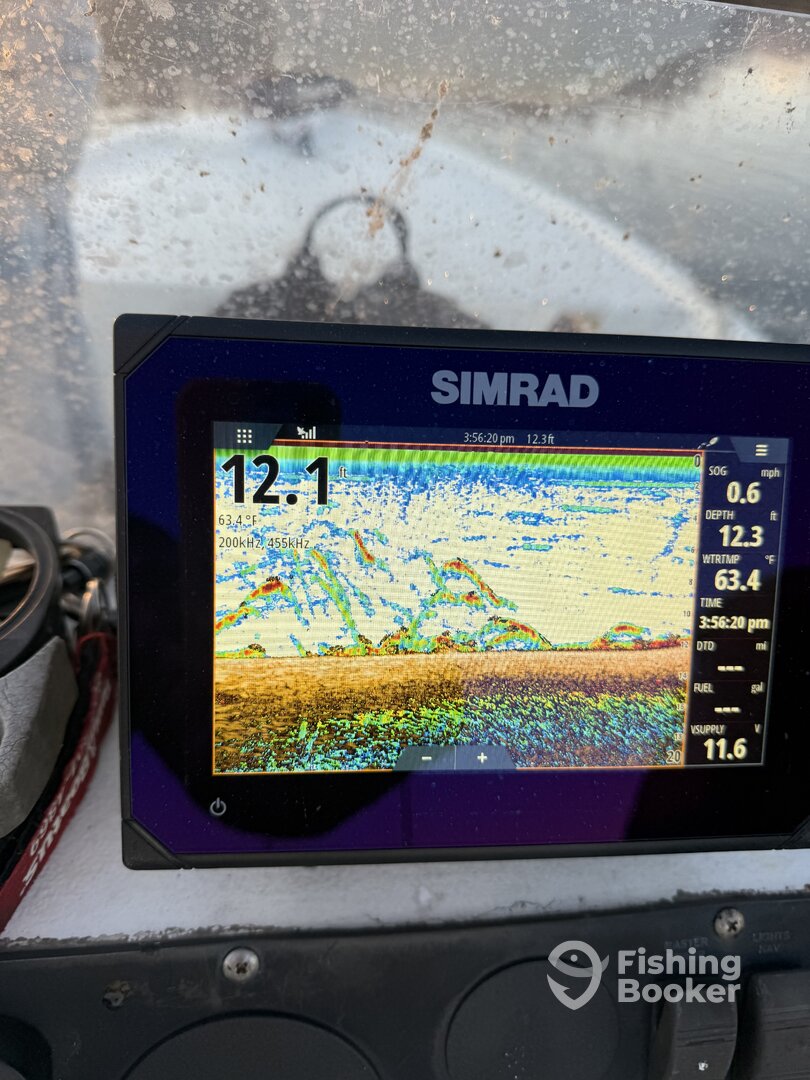 Nanticoke Report Photo 0