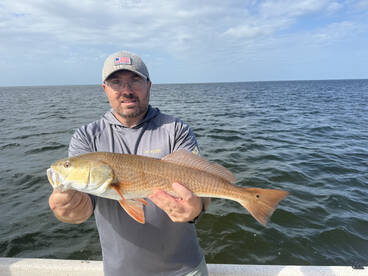 Steinhatchee Report Photo 1