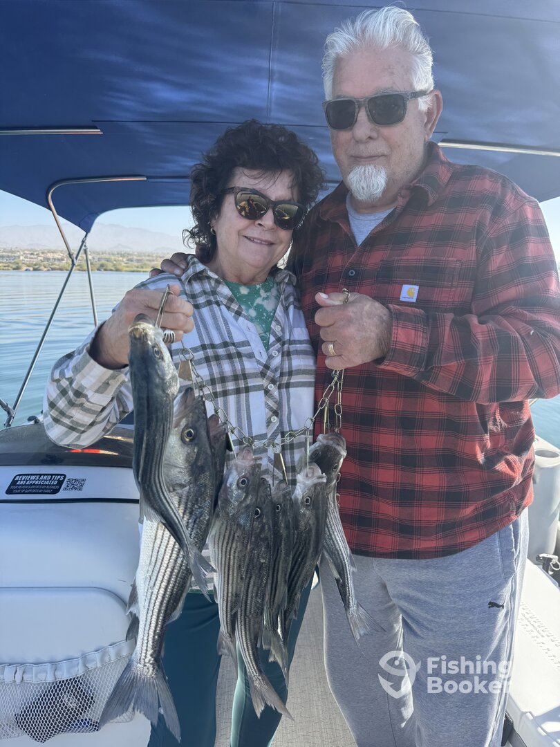 Lake Havasu City Report Photo 0