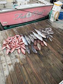 Kure Beach Report Photo 1