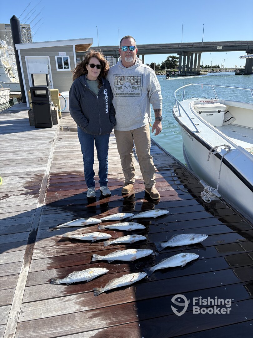 Virginia Beach Report Photo 0