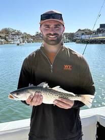 Virginia Beach Report Photo 1