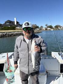 Virginia Beach Report Photo 1