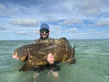 Goliath Grouper
