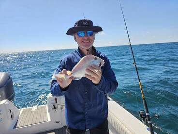 Belleair Bluffs Report Photo 2