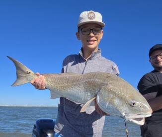 Pelican Island Report Photo 4
