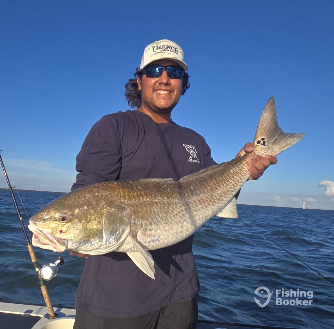 Galveston Report Photo 0