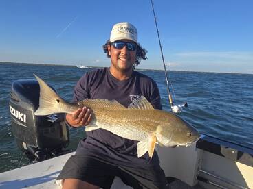 Galveston Report Photo 1