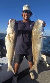 Galveston Report Photo 2