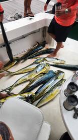 Panama City Report Photo 2